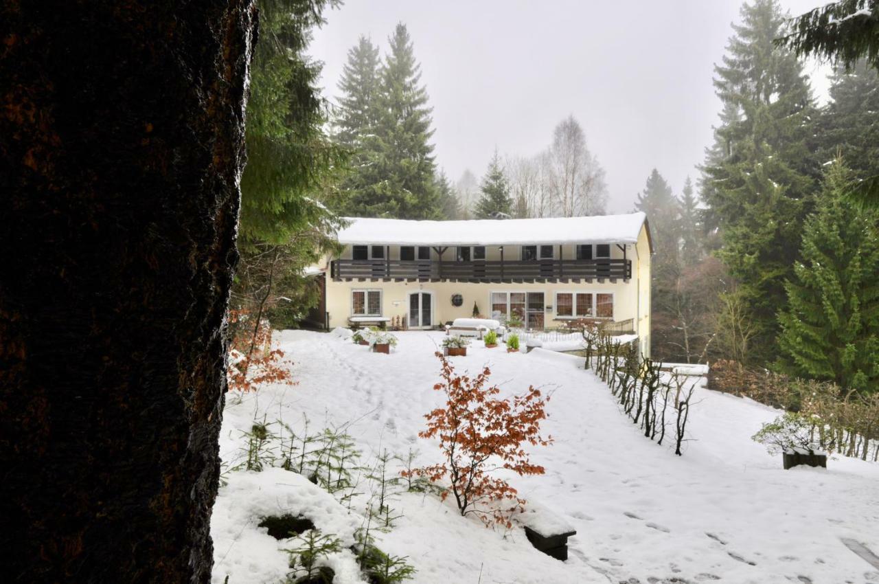 Ferienhaus Hirtenwiese فيلنغن المظهر الخارجي الصورة